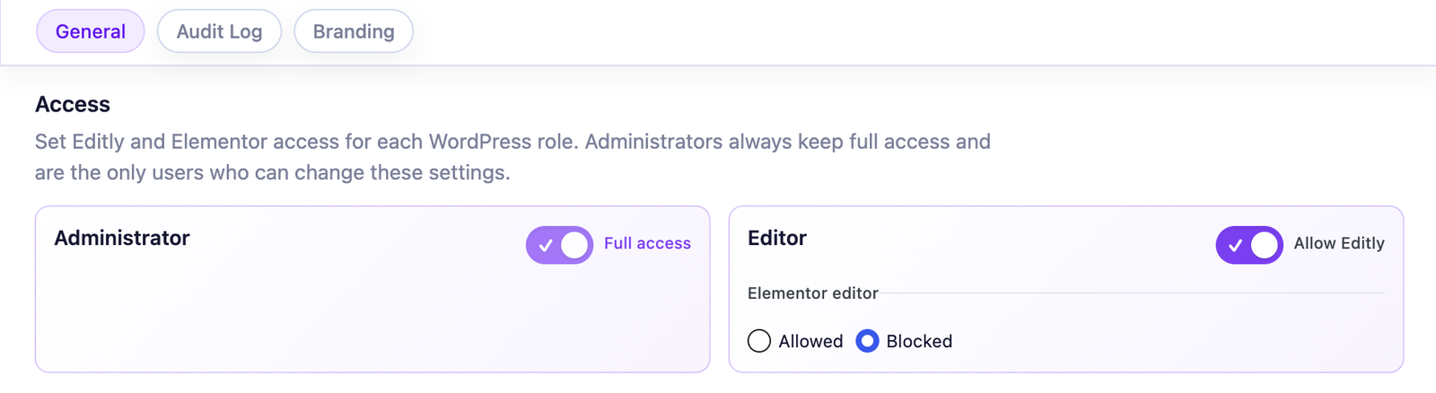 Editly settings showing administrator full access and Elementor editor blocked for the Editor role